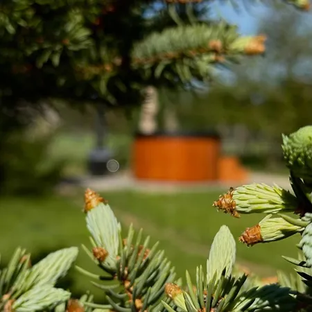 בית נופש Otuleni Kaszubami